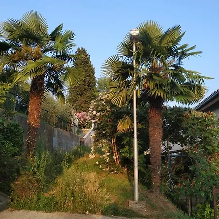 Pertout 3* Nova Gorica